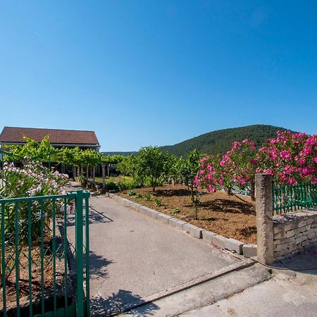 Apartment Luka Rupe المظهر الخارجي الصورة