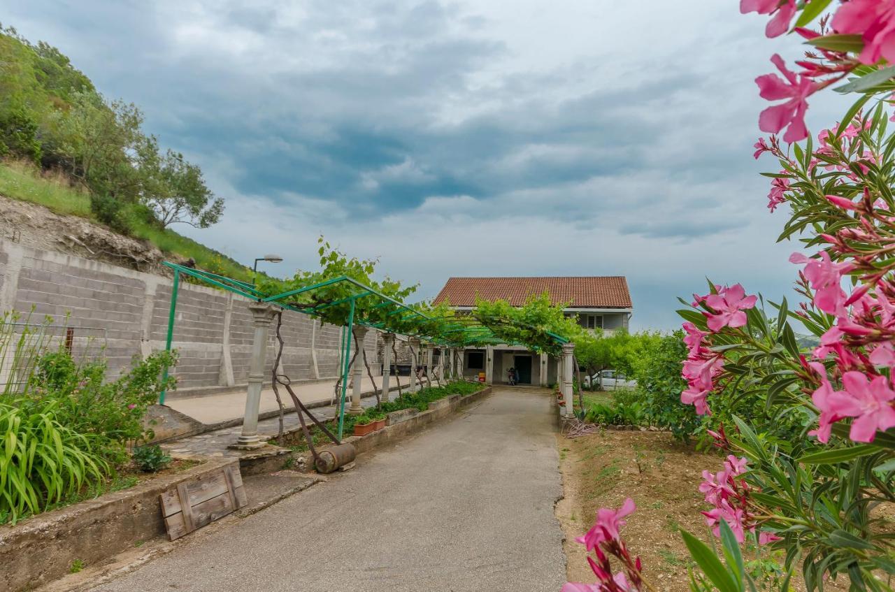Apartment Luka Rupe المظهر الخارجي الصورة